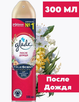 ГЛЕЙД освежитель-аэрозоль 300мл После Дождя