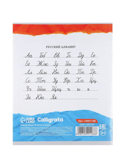 Тетради 10 штук, 18 листов в линейку Calligrata KIDS, серые листы, блок №2, 5 видов