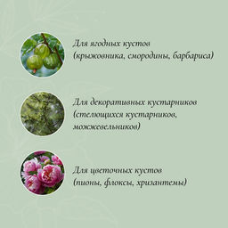 Кустодержатель, d=40 см, h=60 см, ножка d=0.3 см, металл, набор 2 шт., зелёный, Greengo  фото 2