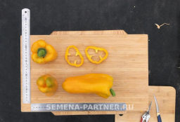 Перец сладкий Джемини - Партнер фото 5