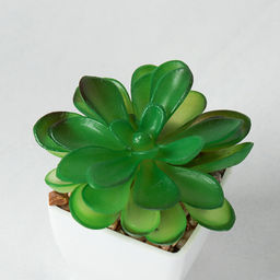 Цветочная композиция Кактус / WER-19 /уп 12/192/ микс - Галеонтрейд фото 7