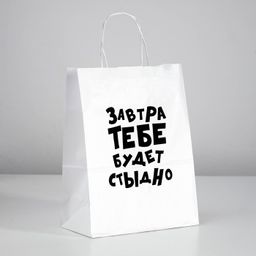 Цена за 10 шт. Пакет подарочный Завтра тебе будет стыдно, 24 х 10,5 х 32 см