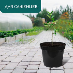 Цена за 2 шт. Горшок для рассады, 15 л, d=34 см, h=22 см, чёрный, Greengo фото 3