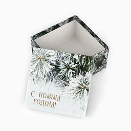 Коробки подарочные новогодние набор 5 в 1 «С Новым годом», 14×14×8–22×22×12 см