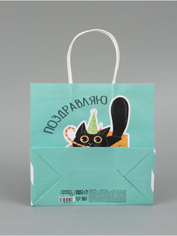 Цена за 2 шт. Пакет подарочный «Поздравляю», 22 × 22 × 11 см