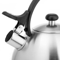 Чайник LARA (матовый) 2.5л, индукционное капсулированное дно, нейлоновая ручка (LR00-65)  фото 4