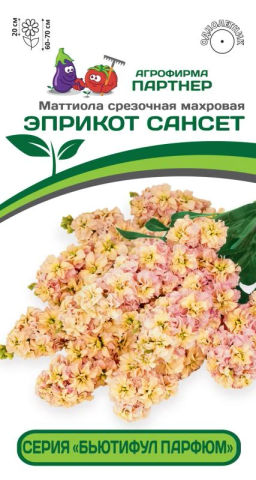 Маттиола срезочная махровая Бьютифул Парфюм Эприкот Сансет - Партнер фото 2