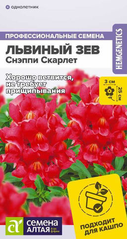 Цветы Львиный зев Снэппи Скарлет/Сем Алт/цп 7 шт.