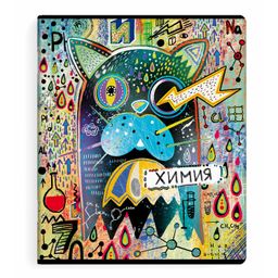Тетрадь предметная арт. 60480/ 5 "ГРАФФИТИ" ХИМИЯ /48 л., А5+, вн.блок - клетка, белый офсет, мягкий