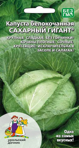 Капуста САХАРНЫЙ ГИГАНТ®  Крупная, сладкая, без горчинки! Кочаны плотные, сочные, хрустящие! Исключительна в засоле и салатах!
