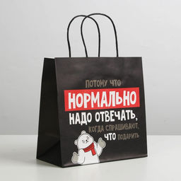 Цена за 2 шт. Пакет подарочный новогодний «Нормально надо отвечать», 22×22×11 см