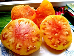 Помидоры Pineapple Вi-color — Двухцветный Ананас