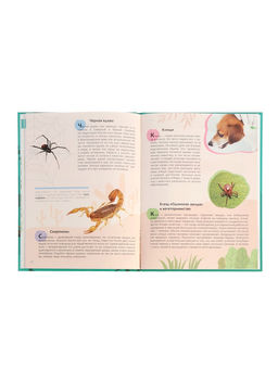 Энциклопедия «Животные»