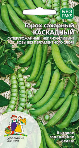 Горох КАСКАДНЫЙ  Формирует настоящие каскады из стручков со сладкими горошинами! Будет самой любимой грядкой ваших деток!