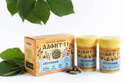 Алфит-11 Лёгочный БАД в брикетах Алфит 1193