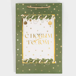 Пакет подарочный новогодний ламинированный «Яркие моменты», 23 х 35 х 20 см