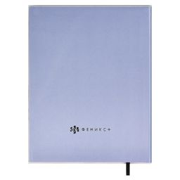 Дневник школьный арт. 59327 / 15 СКЕЙТ - Феникс+ фото 9