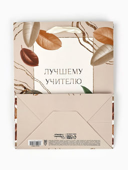 Цена за 2 шт. Пакет подарочный ламинированный, упаковка, Лучшему учителю, MS 18?23?10 см