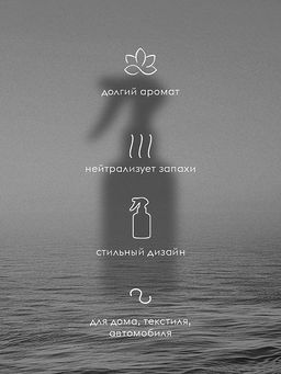 Спрей-ароматизатор Dutybox Психея 300 мл фото 3