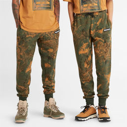 Мужские брюки спортивные Timberland Sweatpant Regular AOP Мультиколор