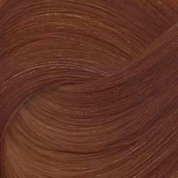 Igora Royal Absolutes, 60 мл. - Schwarzkopf professional фото 10