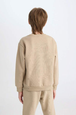 Толстый свитшот обычного кроя с круглым вырезом и принтом для мальчиков - Defacto фото 6