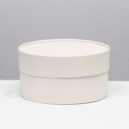 Подарочная коробка Крема кремовая, завальцованная без окна, 21 х 11 см