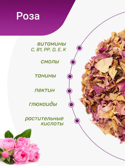 Роза крымская в пирамидке - Травы горного крыма фото 7