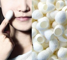 Коконы тутового шелкопряда, упаковка 12 шт.