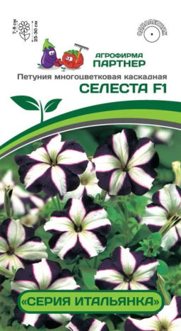 Петуния Итальянка Селеста многоцветковая каскадная бело-голубая