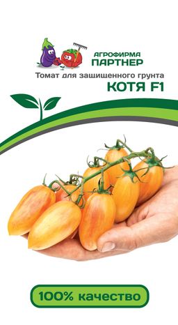 Томат Котя