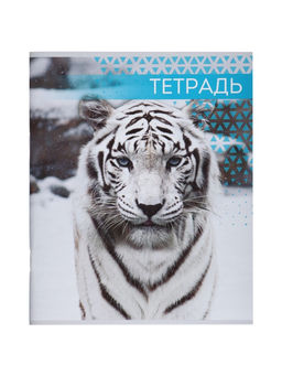Комплект тетрадей из 4 штук, 48 листов в линейку «Дикие кошки», серые листы