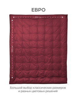 Одеяло Cloud wine 200х220 теплое 300г/м2 ЕС-5834 - Espera фото 8