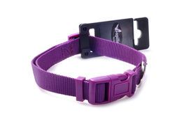 ВИА Нейлоновый ошейник 25мм - 48-70см, фиолетовый (Adjustable nylon collar, 25 mm x 48 - 70 cm, colour purple) 170204 170204 170204