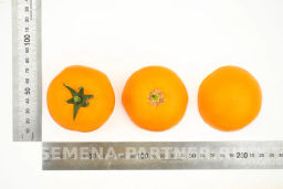 Томат Анвар - Партнер фото 5