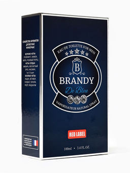 Туалетная вода мужская Brandy De Bleu, 100 мл