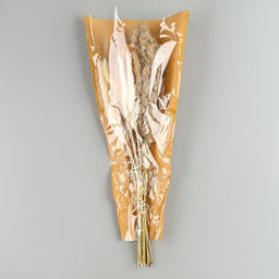 Сухоцветы «Изящность», набор из 5 видов, 48×16×6 см