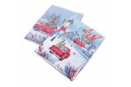 Набор полотенец Рогожка-Купон в пакете арт. РК 216 ад (13245-1)