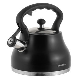 Чайник 2.7л из нержавеющей стали со свистком и ручкой "soft touch" (100313BL) (KAMILLE)