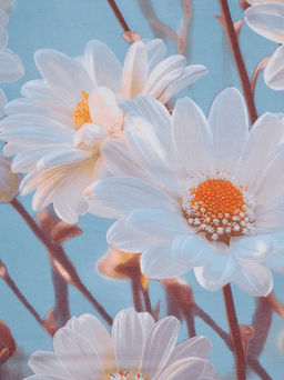 Простыня бязь люкс - Ромашки 150х215