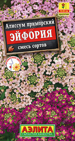 Алиссум Эйфория, смесь сортов