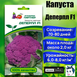 Капуста цветная Деперпл (фиолетовый) - Партнер фото 5