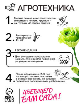 Семена цветов  Лизиантус F1( Эустома) АВС грин, 5 шт,