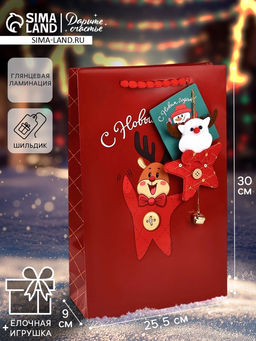 Пакет подарочный С Новым годом, с ёлочной игрушкой и шильдиком, Дед Мороз, 25.5?30?9 см