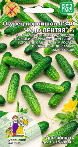 Огурец ЧУДО ЛЕНТЯЯ F1 Для самых нерасторопных садоводов! Аккуратные, сладкие, хрустящие! Плодоносит до заморозков!