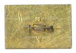 Значок Владимир