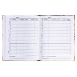 Дневник школьный для 1-4 классов, «Котёнок», твёрдая обложка 7БЦ, глянцевая ламинация, 48 листов