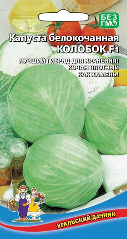 Капуста КОЛОБОК F1