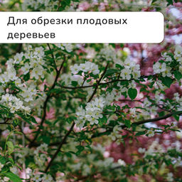 Секатор плоскостной, 8 (20 см), с металлическими ручками, МИКС, Greengo фото 7