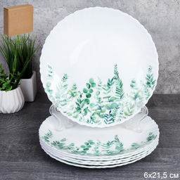 Набор тарелок 6 штук 215 мм / LHP-85XN (7520) /уп 8 / 748962